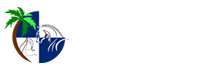 Animal Chiropractic Clermont FL Palmetto Chiropractic